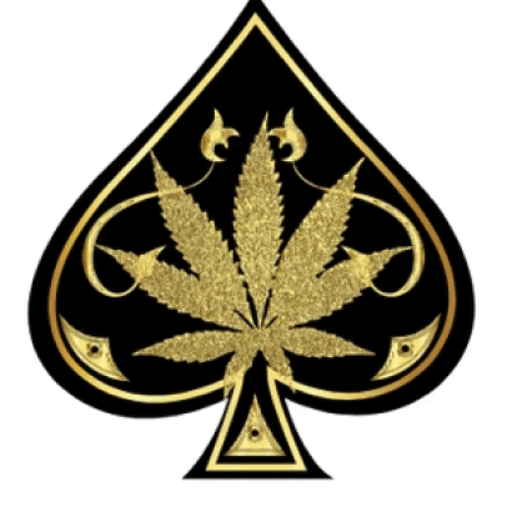 ace ultra premium